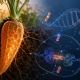 Ilustración científica de zanahorias con ADN vegetal y pequeños elementos móviles del genoma asociados a regulación génica.
