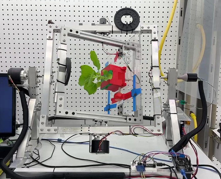 Máquina de posicionamiento aleatorio con una planta en crecimiento para simular condiciones de microgravedad.