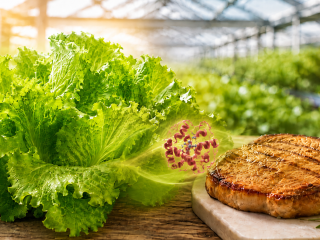 Lechuga y carne de cerdo conectadas visualmente mediante una representación de la proteína mioglobina.